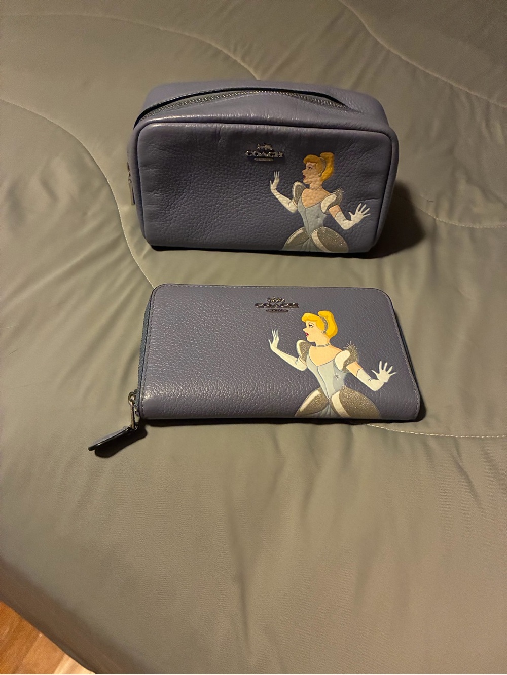 2021 Limited Edition Coach x Disney Wallet and Cosmetic Bag